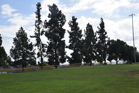 Enlarge photo 30