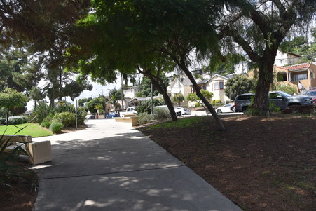 Enlarge photo 45