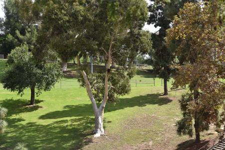 Enlarge photo 52