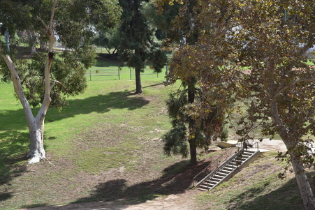 Enlarge photo 53