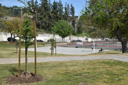 Enlarge photo 10