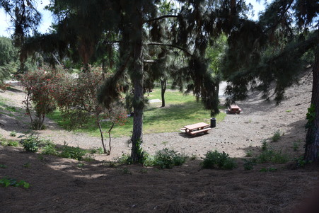 Enlarge photo 24