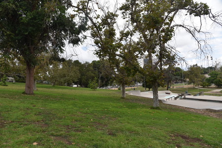 Enlarge photo 24