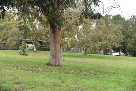 Enlarge photo 26
