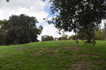 Enlarge photo 29