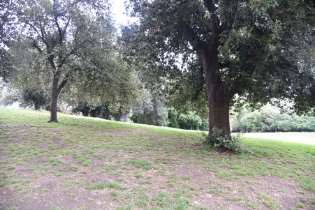 Enlarge photo 30