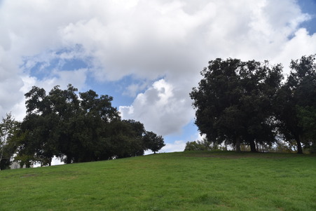Enlarge photo 31