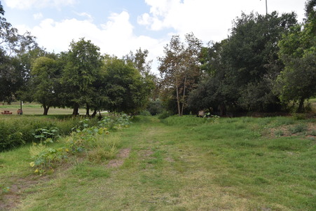 Enlarge photo 33