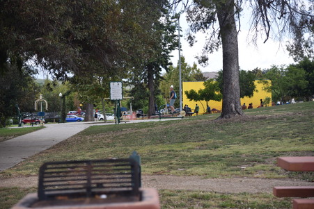 Enlarge photo 41
