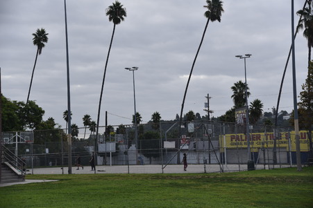 Enlarge photo 33