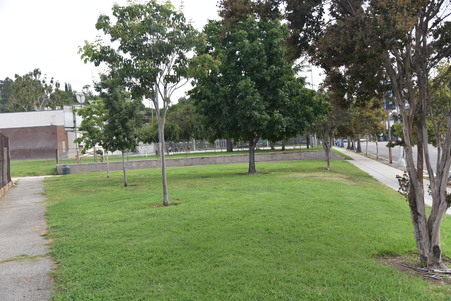Enlarge photo 36