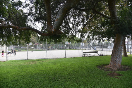 Enlarge photo 39