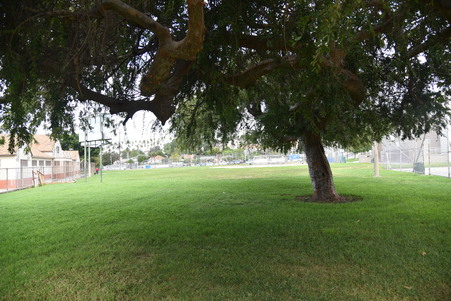 Enlarge photo 41