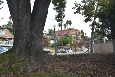 Enlarge photo 51