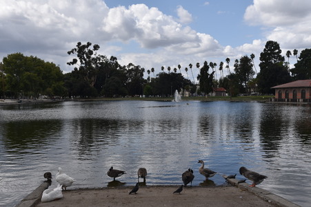 Enlarge photo 40