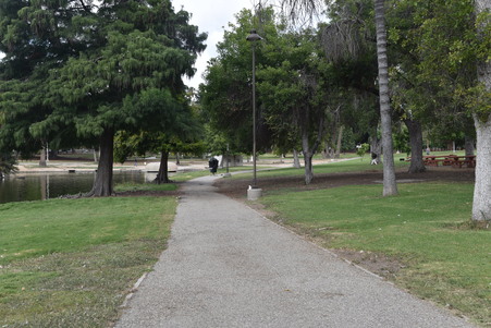 Enlarge photo 41