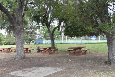 Enlarge photo 44