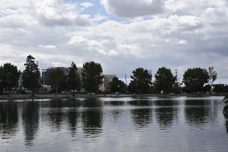 Enlarge photo 46