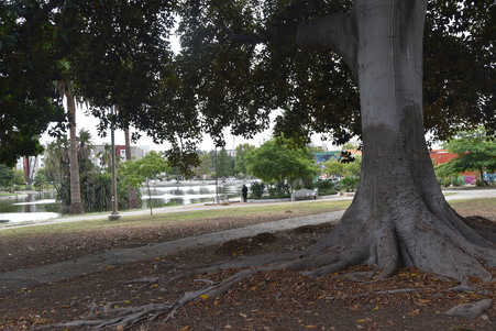 Enlarge photo 48