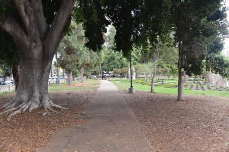 Enlarge photo 49