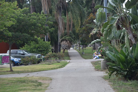 Enlarge photo 51