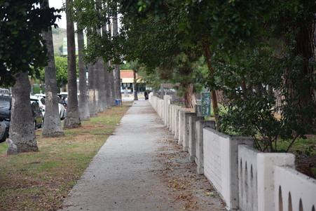 Enlarge photo 53