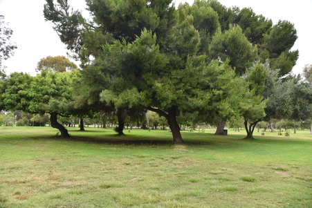 Enlarge photo 7