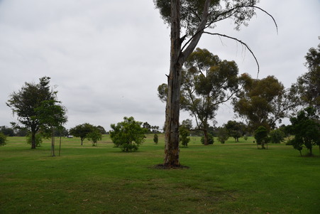 Enlarge photo 11