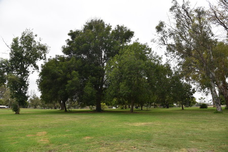 Enlarge photo 13