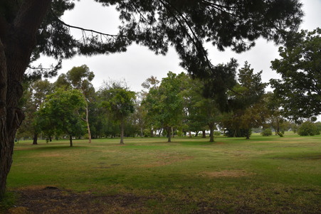 Enlarge photo 17