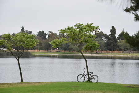 Enlarge photo 22