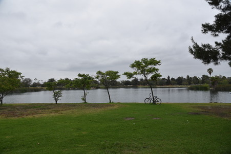 Enlarge photo 25