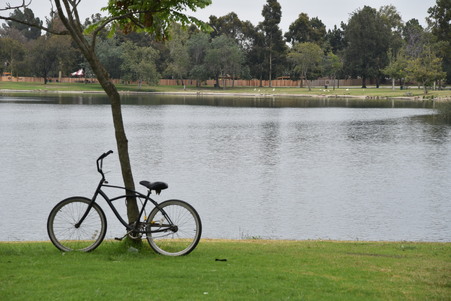 Enlarge photo 27