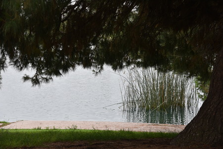 Enlarge photo 28