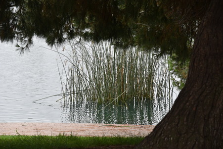Enlarge photo 30