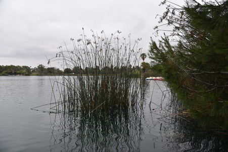 Enlarge photo 29