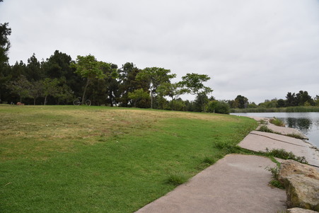 Enlarge photo 33