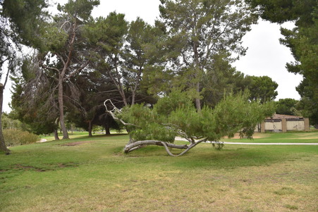 Enlarge photo 35