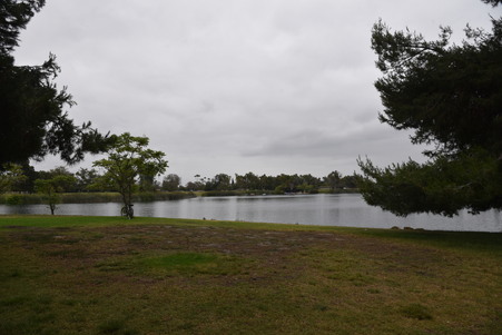Enlarge photo 34