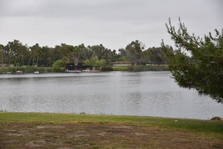 Enlarge photo 36