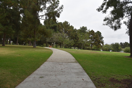 Enlarge photo 38