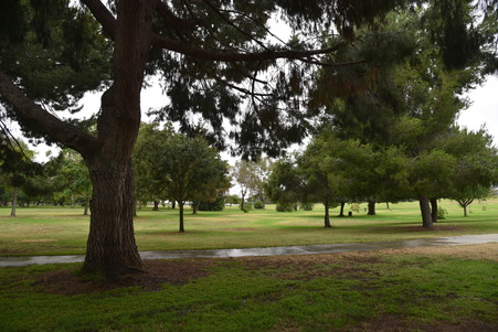 Enlarge photo 37