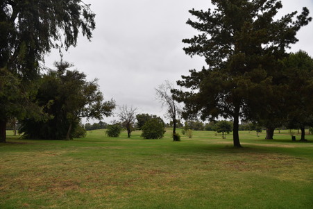 Enlarge photo 42