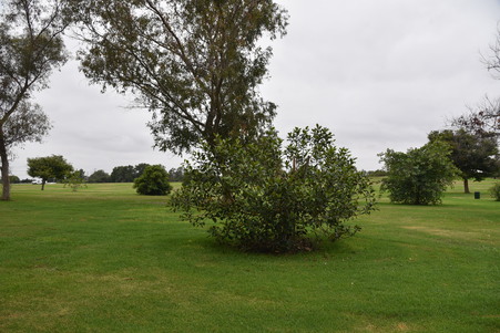 Enlarge photo 41