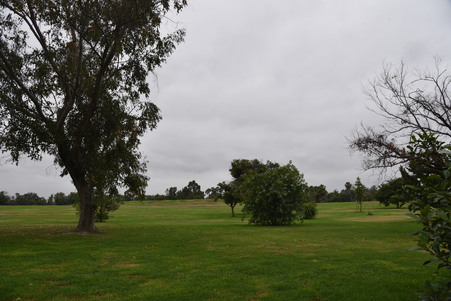 Enlarge photo 43