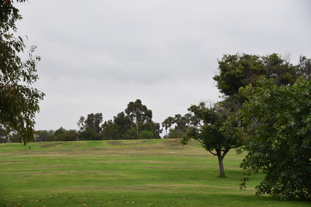 Enlarge photo 46