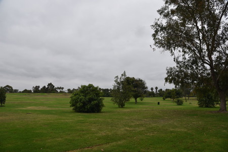 Enlarge photo 44