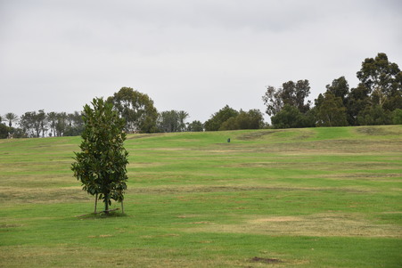 Enlarge photo 45