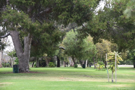 Enlarge photo 48