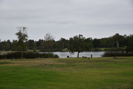 Enlarge photo 50